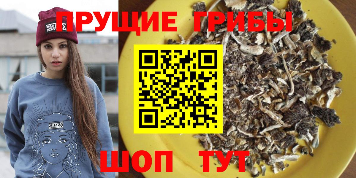 Псилоцибиновые грибы Psilocybine cubensis  Вход с VPN  купить закладку  Каменка 